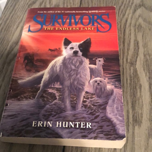 Other - 💜🚨CLEARANCE🚨 {The Survivors} The Endless Lake chapter paperback book💜